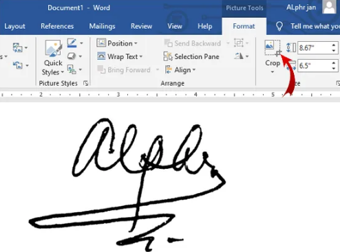 drawing signature in word